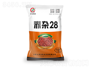 ���s28-�����N��-�����N�I(y��)