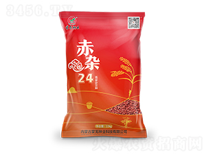 ���s24-�����N��-�����N�I(y��)