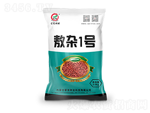 ���s1̖(h��o)-�����N��-�����N�I(y��)