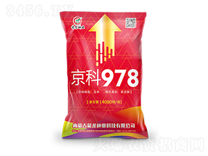 ����978���t��-���׷N��-�����N�I(y��)