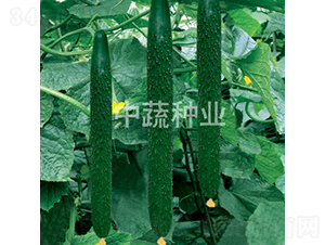 ���r(n��ng)6̖-�S�ϷN��-���߷N�I(y��)