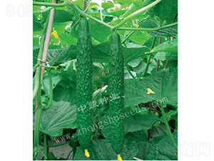 ���r(n��ng)12̖-�S�ϷN��-���߷N�I(y��)