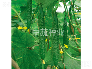 ���r(n��ng)26̖-�S�ϷN��-���߷N�I(y��)