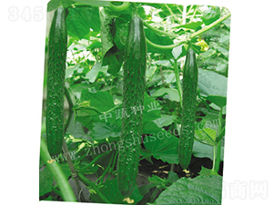 ���r(n��ng)16̖-�S�ϷN��-���߷N�I(y��)