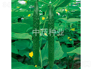 ���r(n��ng)106̖-�S�ϷN��-���߷N�I(y��)