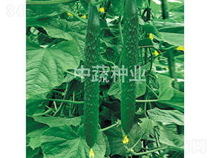 ���r(n��ng)128̖-�S�ϷN��-���߷N�I(y��)