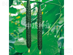 ���r(n��ng)18̖-�S�ϷN��-���߷N�I(y��)