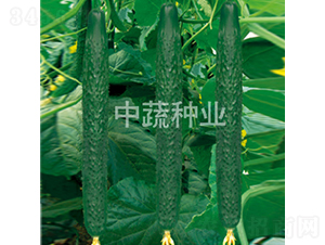 ���r(n��ng)116̖-�S�ϷN��-���߷N�I(y��)