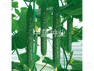 ���r(n��ng)28̖-�S�ϷN��-���߷N�I(y��)