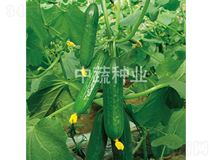 ���r(n��ng)29̖-�S�ϷN��-���߷N�I(y��)