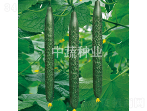 ���r(n��ng)37-�S�ϷN��-���߷N�I(y��)