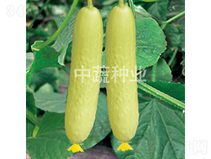 ���r(n��ng)����2̖-�S�ϷN��-���߷N�I(y��)