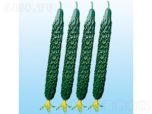 ���r(n��ng)62̖-�S�ϷN��-���߷N�I(y��)