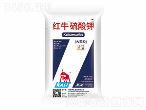 �tţ�����-�����r(n��ng)�I(y��)