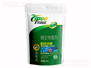 ����ľù��-�I(y��)�r(n��ng)