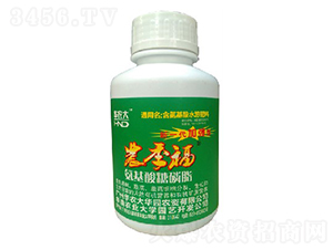 ����������֬-�r����-������