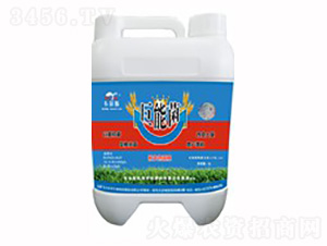 ΢�������-���ܾ�-�Rķ������