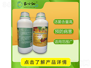 �ͺ϶��İ������~���-�rС��-�f��GԴ 