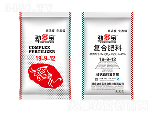 �Ŷ������}�F�\��(f��)�Ϸ�19-9-12-�Ŷ���