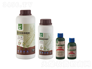 �ͺ�΢�������-�A������