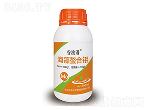 ���������f-�����Z(y��)-���V�S����