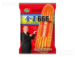 ����666-���׷N��-Ⱥ��