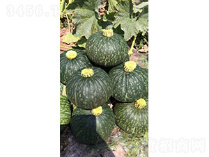 �W���m�������m���ϹϷN��-�A���r(n��ng)�I(y��)