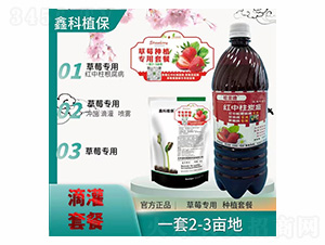 ��ݮ̿�Ҳ��ײ�-�ο�ֲ��