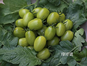 �G�ᭇ���ҷ��ѷN��-�A���r�I(y��)