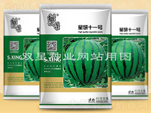 ����ʮһ̖-���ϷN��-�p�ǷN�I(y��)