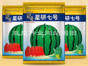 ������̖(h��o)-���ϷN��-�p�ǷN�I(y��)