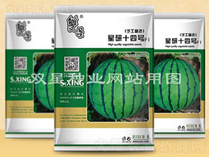 ����ʮ��̖(h��o)-���ϷN��-�p�ǷN�I(y��)