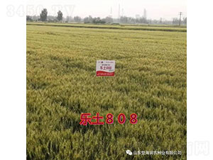 ����808-С���N��-�Ǻ����r(n��ng)