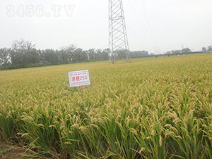 ��253-ˮ���N��-�Ǻ����r(n��ng)