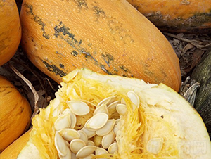 �A������-�����J�N��-�A���N��