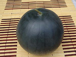 ������-���ϷN��-�A���N��