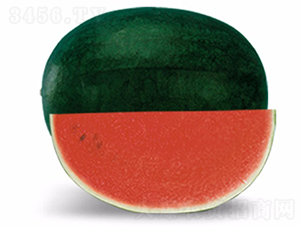 ī�t-���ϷN��-�A���N��