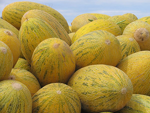 ����-��ϷN��-�A���N��