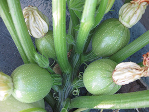 ���-�����J�N��-�A���N��