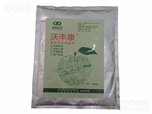 �ͺ�΢�������-���S��-��������