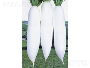 �h�����}��-�}���N��-�V��