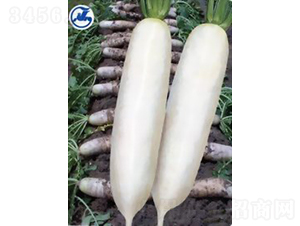 �����}��-�}���N��-�V��