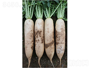 �V������F1�}��-�}���N��-�V��