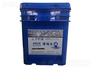 �������΢�������-�����S��-����������