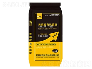 �S�����ЙC(j��)����-����