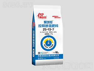 ��ጓ������25-13-7-�����-ϲ�B��