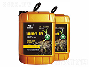 �M������5kg-(li��n)��μ�