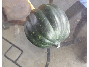 �G��-�ϹϷN��-�A���N��