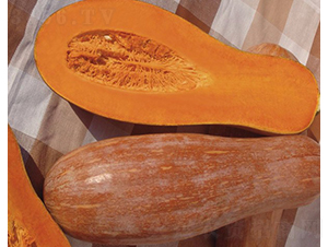 ����۱�-�ϹϷN��-�A���N��