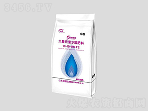 ����Ԫ��ˮ�ܷ���19-19-19+TE-��ʢ����